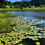 Am Kranzbach Fewo2 Lägenhet Krün