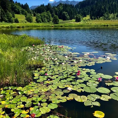 Am Kranzbach Fewo2 Апартаменты Крун